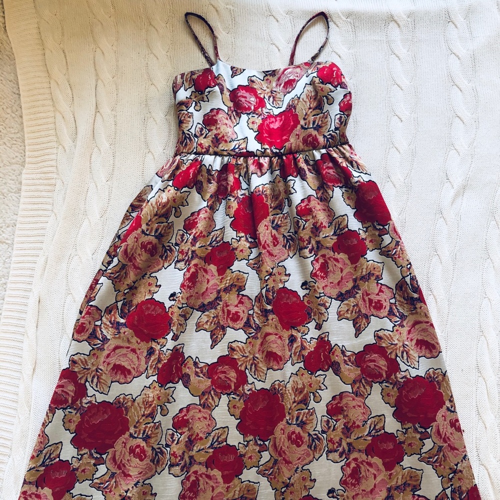 Rachel Antonoff Red Rose Floral Dress